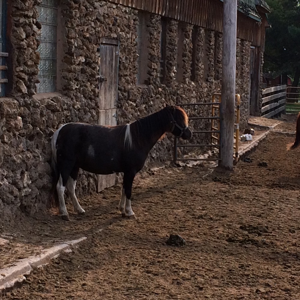 Meet your Posher, Michelle